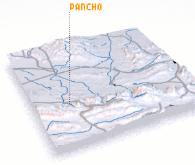 3d view of Pancho