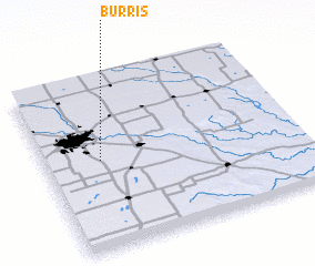 3d view of Burris