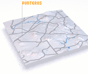 3d view of Punteros