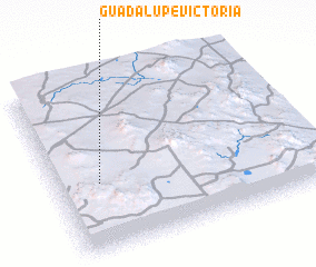 3d view of Guadalupe Victoria