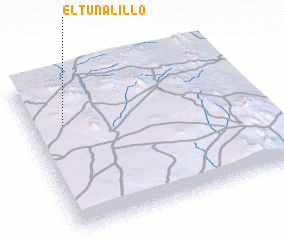 3d view of El Tunalillo