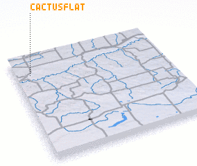 3d view of Cactus Flat