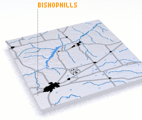 3d view of Bishop Hills