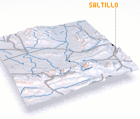 3d view of Saltillo