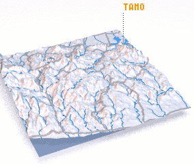 3d view of Tamo