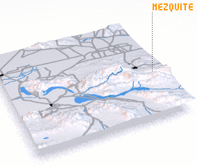 3d view of Mezquite