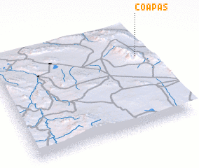 3d view of Coapas