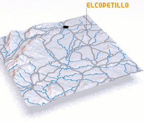 3d view of El Copetillo