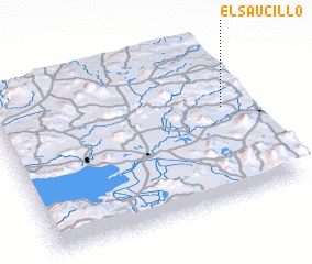 3d view of El Saucillo