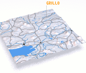 3d view of Grillo