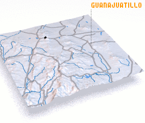 3d view of Guanajuatillo