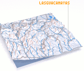 3d view of Las Guacamayas