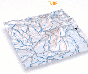 3d view of Tuna