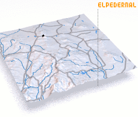 3d view of El Pedernal