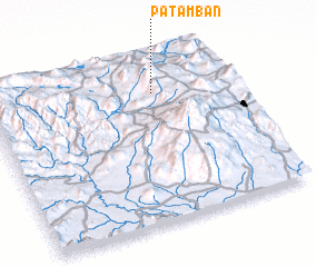 3d view of Patamban