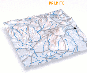 3d view of Palmito