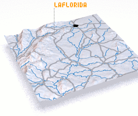 3d view of La Florida