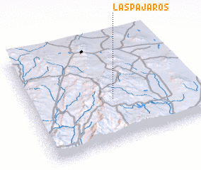 3d view of Las Pajaros