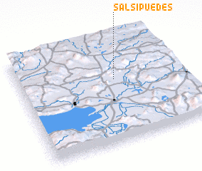 3d view of Salsipuedes