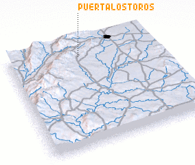 3d view of Puerta Los Toros