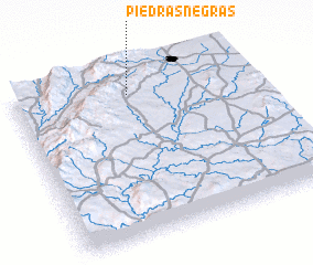 3d view of Piedras Negras