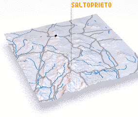 3d view of Salto Prieto