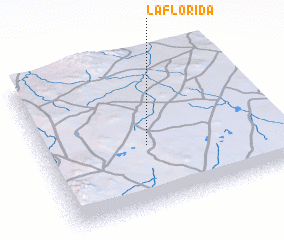 3d view of La Florida