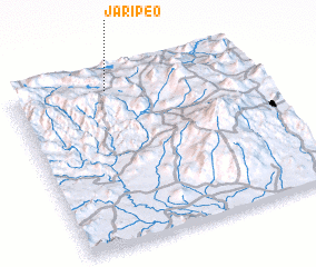 3d view of Jaripeo