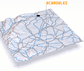 3d view of Acahuales