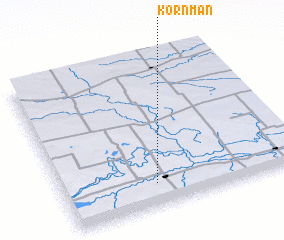 3d view of Kornman