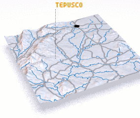 3d view of Tepusco