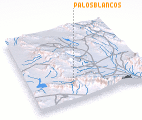 3d view of Palos Blancos