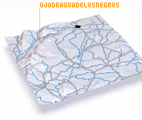 3d view of Ojo de Agua de los Negros