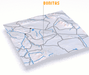 3d view of Bonitas