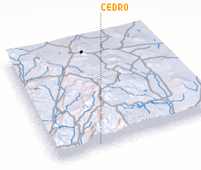 3d view of Cedro