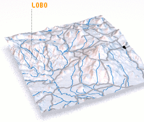 3d view of Lobo