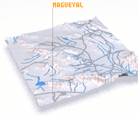 3d view of Magueyal