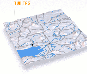 3d view of Tunitas
