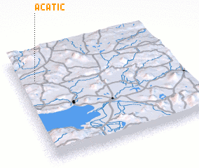 3d view of Acatic