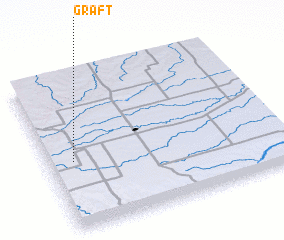 3d view of Graft