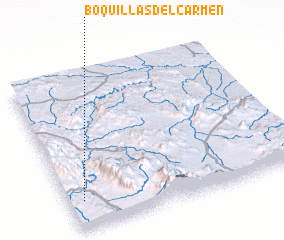3d view of Boquillas del Carmen