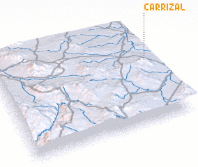 3d view of Carrizal