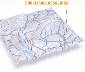 3d view of Capulín de las Salinas