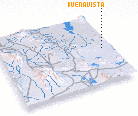 3d view of Buena Vista