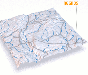 3d view of Negros