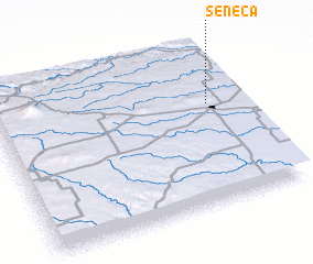 3d view of Seneca