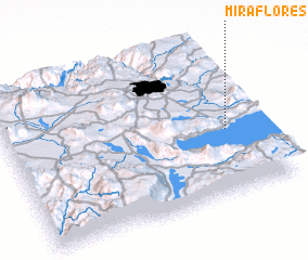 3d view of Miraflores