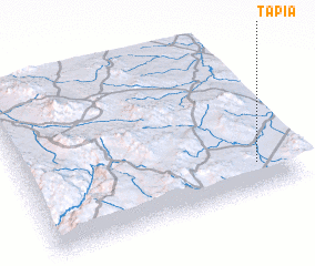 3d view of Tapia