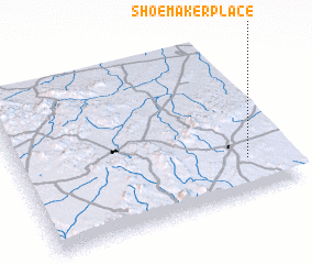 3d view of Shoemaker Place