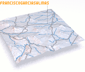 3d view of Francisco García Salinas